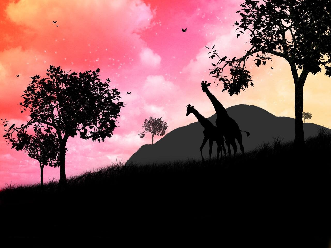 Best Giraffe background ID:332426 for High Resolution hd 1280x960 desktop