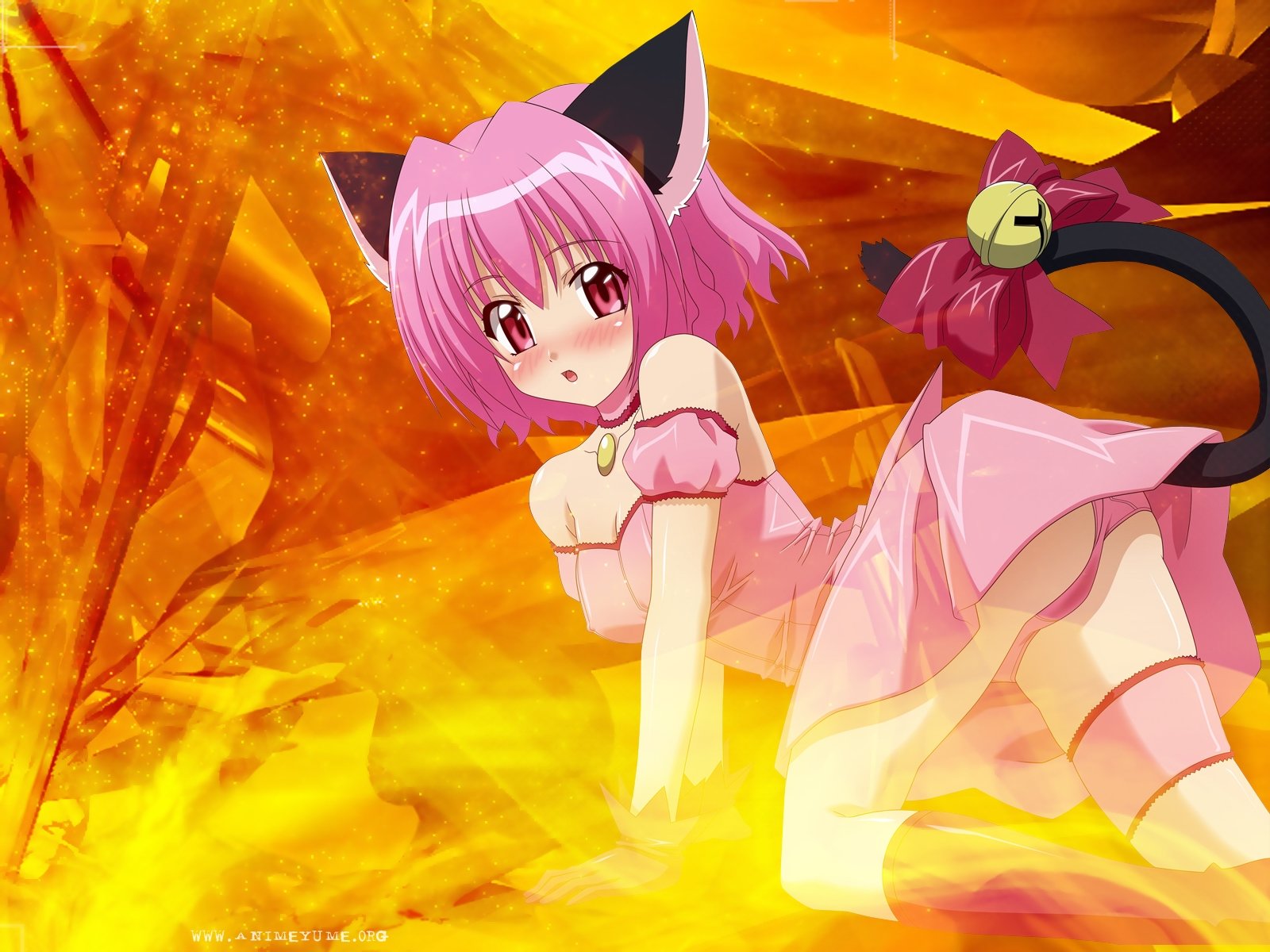 Download hd 1600x1200 Tokyo Mew Mew computer wallpaper ID:69685 for free