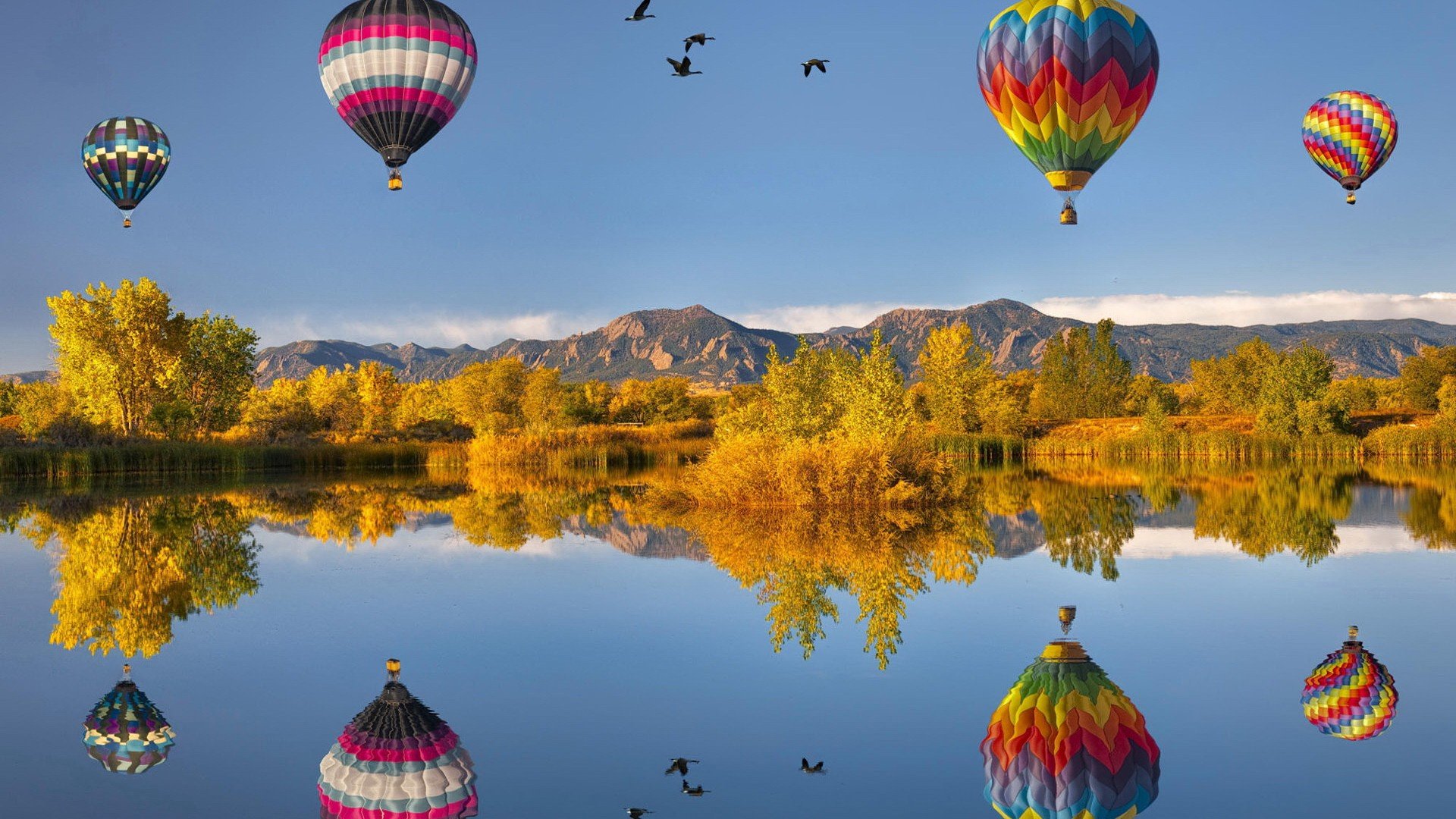 Free Hot Air Balloon high quality background ID:478422 for hd 1080p desktop