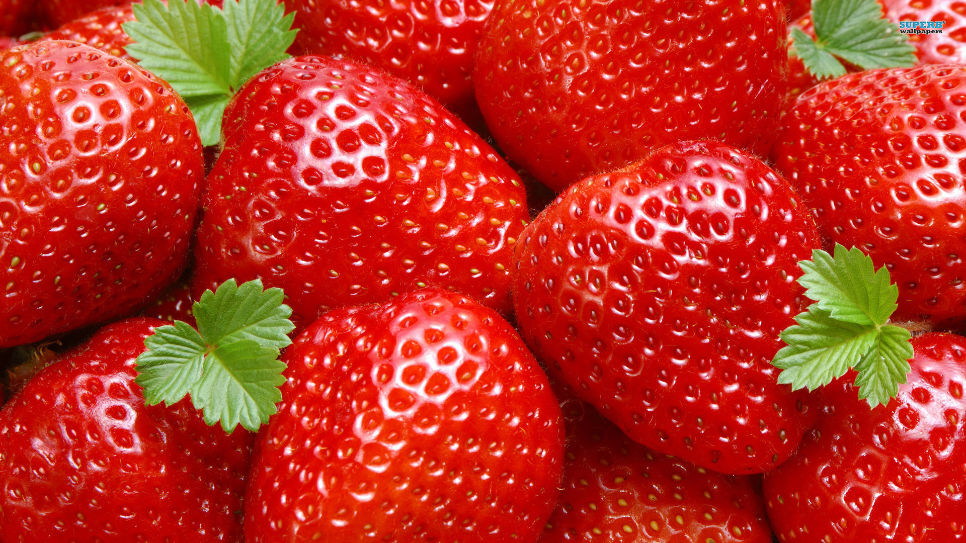 Best Strawberry wallpaper ID:90791 for High Resolution full hd 1080p desktop