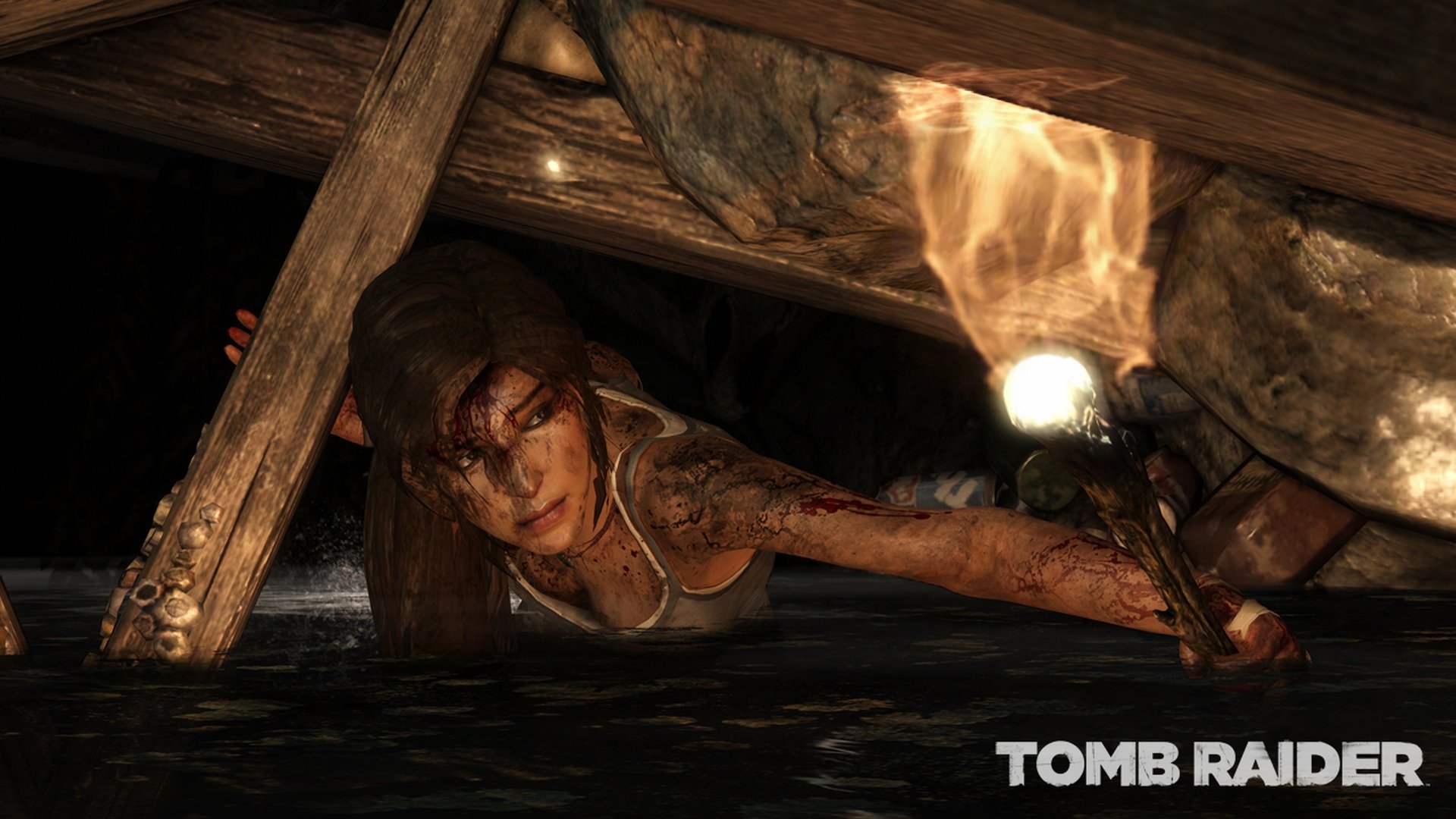 High resolution Tomb Raider (Lara Croft) full hd background ID:436952 for PC