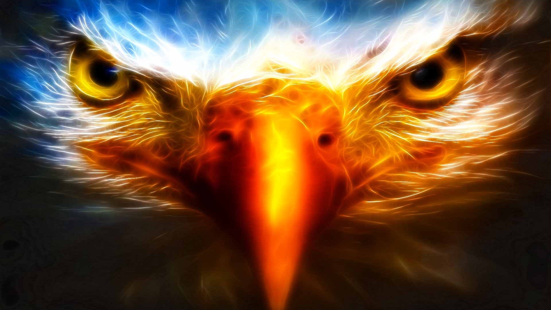 High resolution Eagle hd 1080p background ID:231165 for desktop
