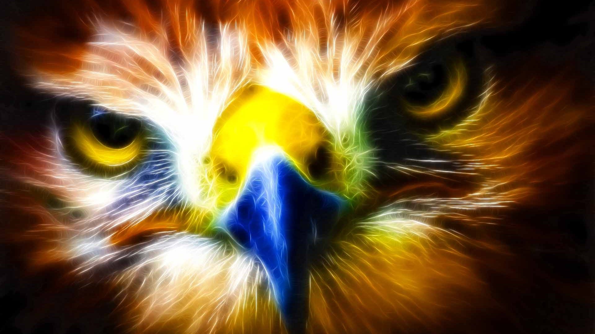 High resolution Eagle full hd 1080p wallpaper ID:231142 for computer