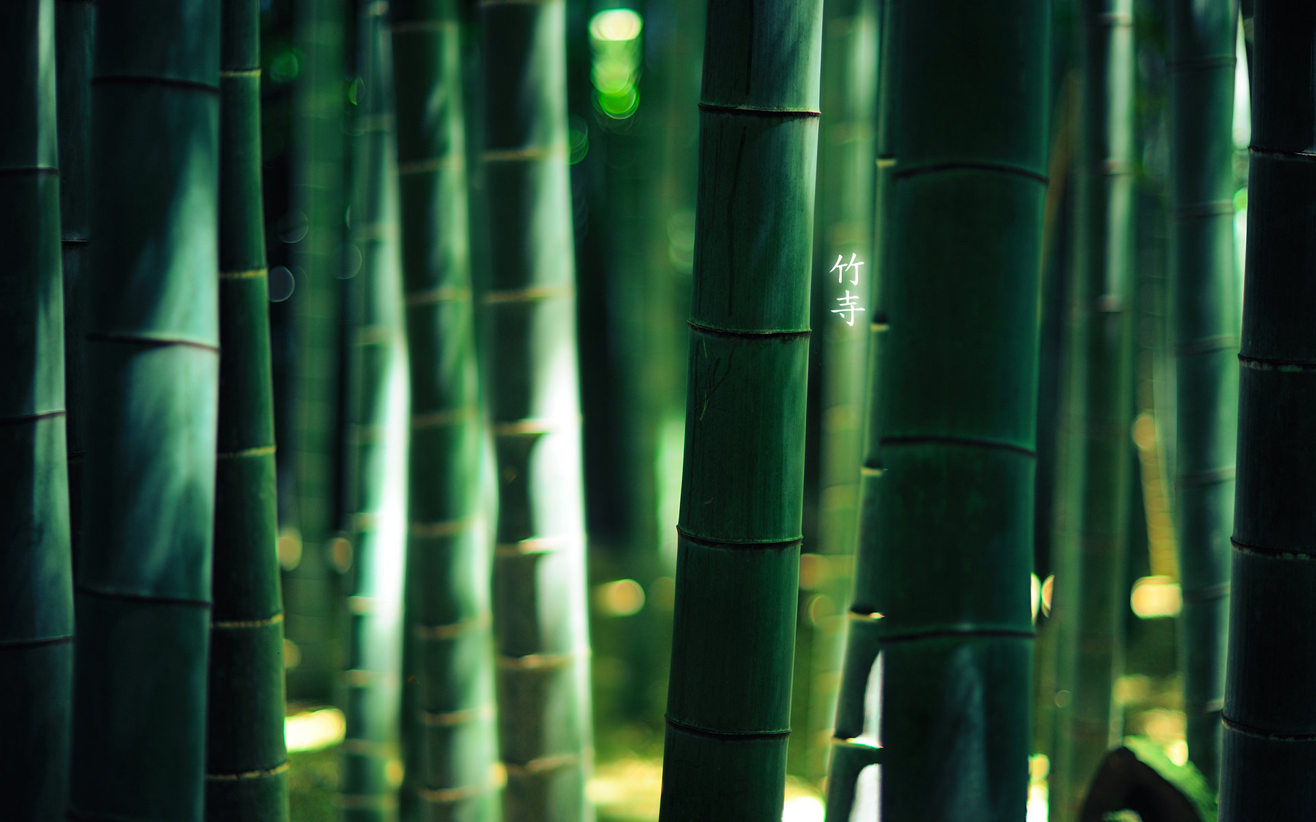 High resolution Bamboo hd 1920x1200 background ID:246860 for PC