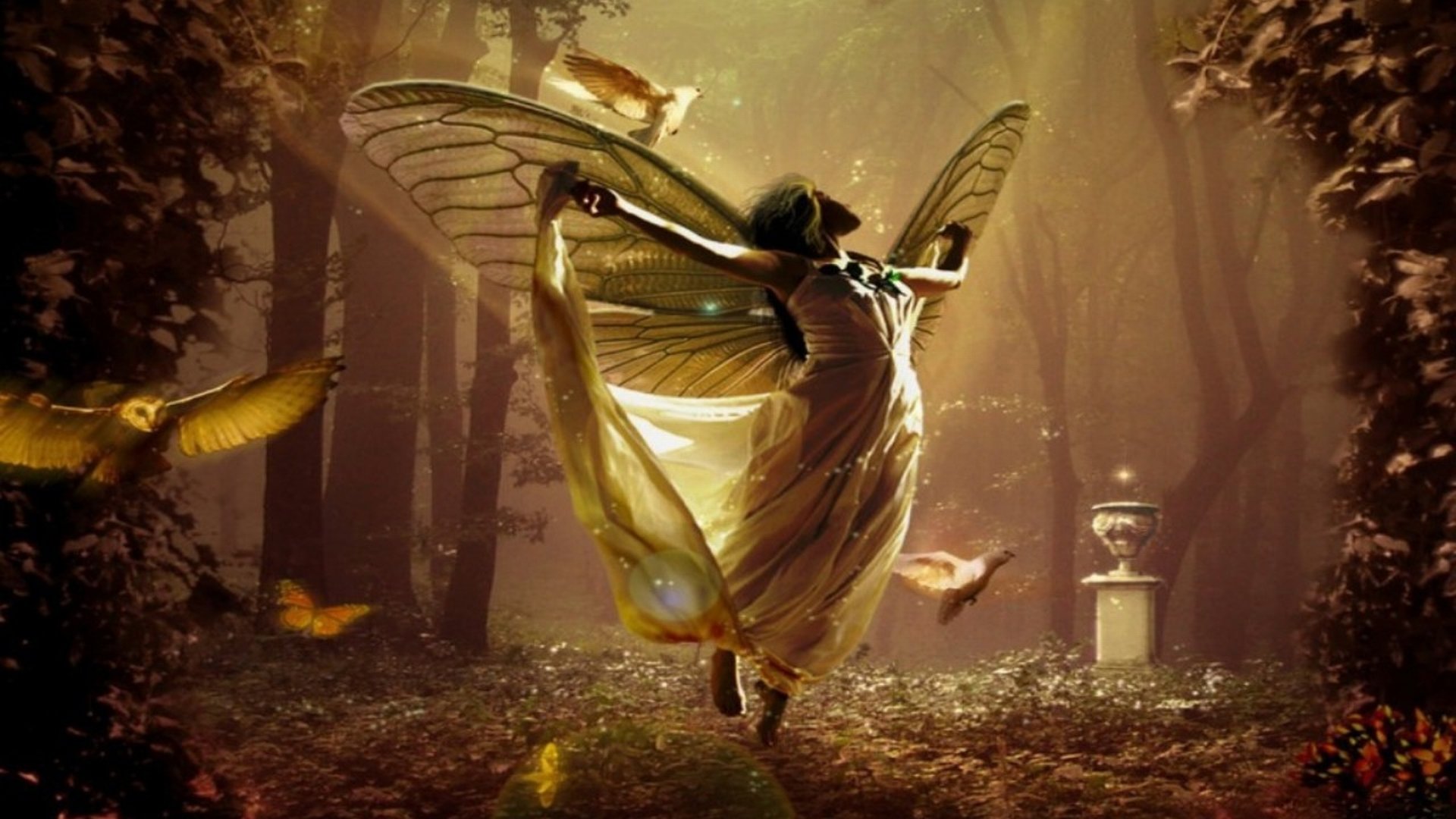 Download hd 1080p Fairy desktop background ID:96641 for free