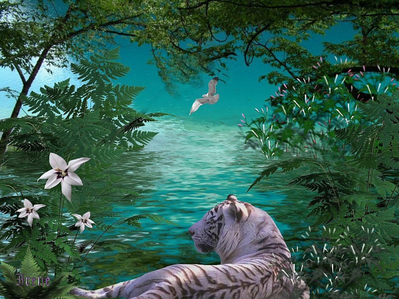 Download hd 1280x960 White Tiger desktop wallpaper ID:174933 for free