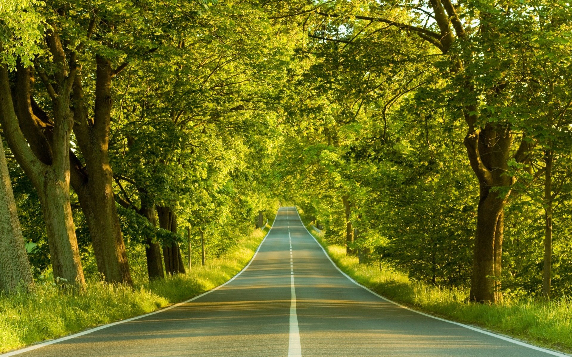 Awesome Road free background ID:492096 for hd 1920x1200 computer