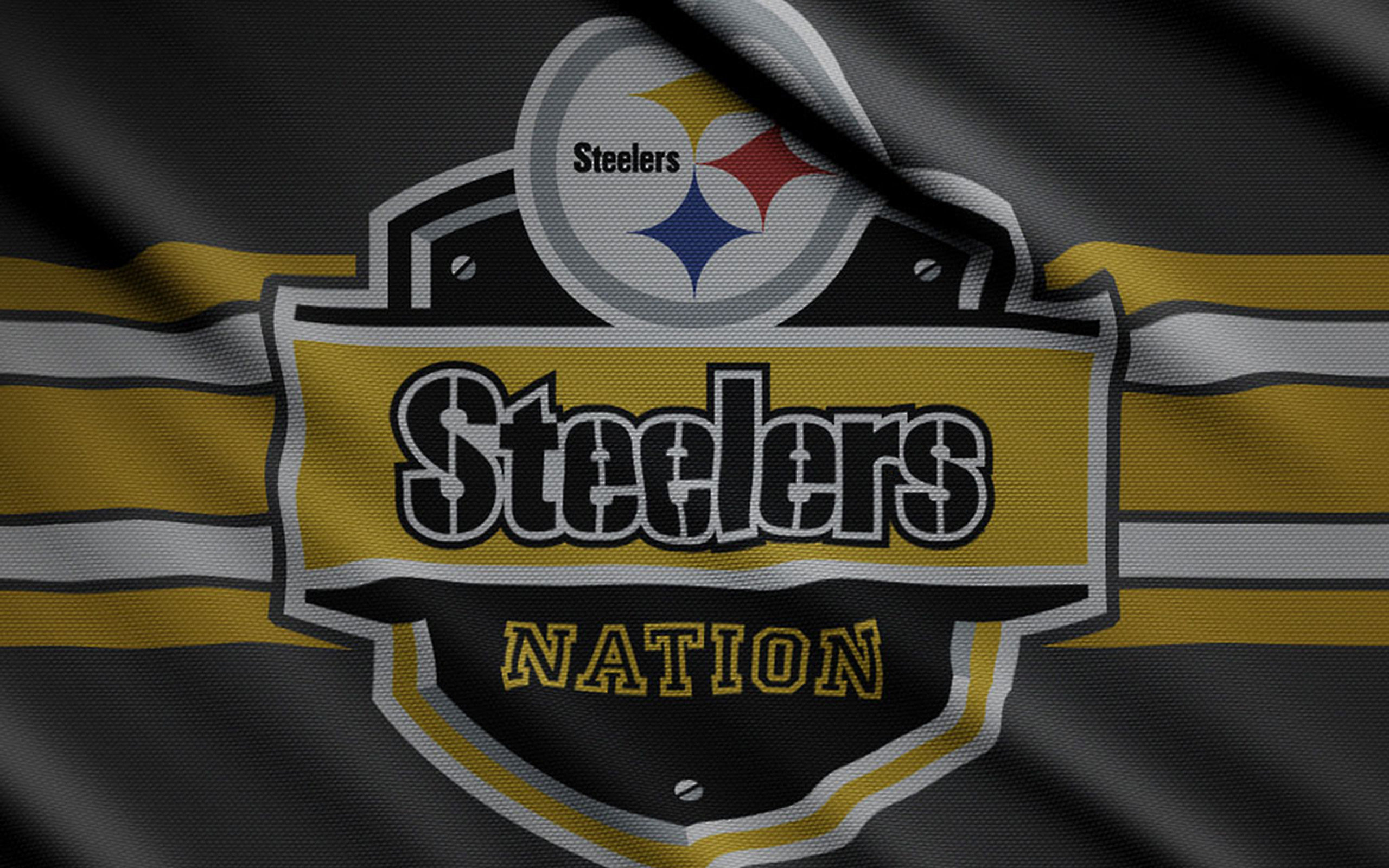 Best Pittsburgh Steelers wallpaper ID:466615 for High Resolution hd 2560x1600 computer