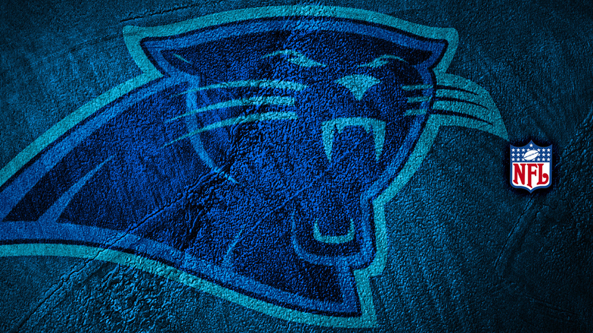 Download full hd 1080p Carolina Panthers desktop background ID:101307 for free
