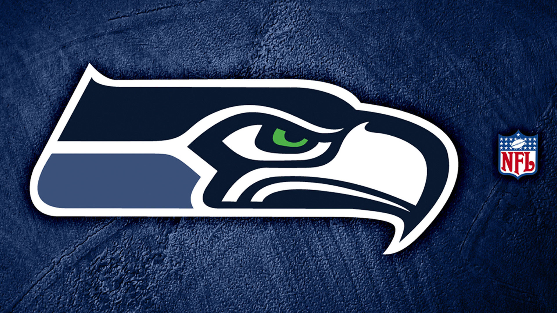 Best Seattle Seahawks background ID:347965 for High Resolution hd 1920x1080 PC