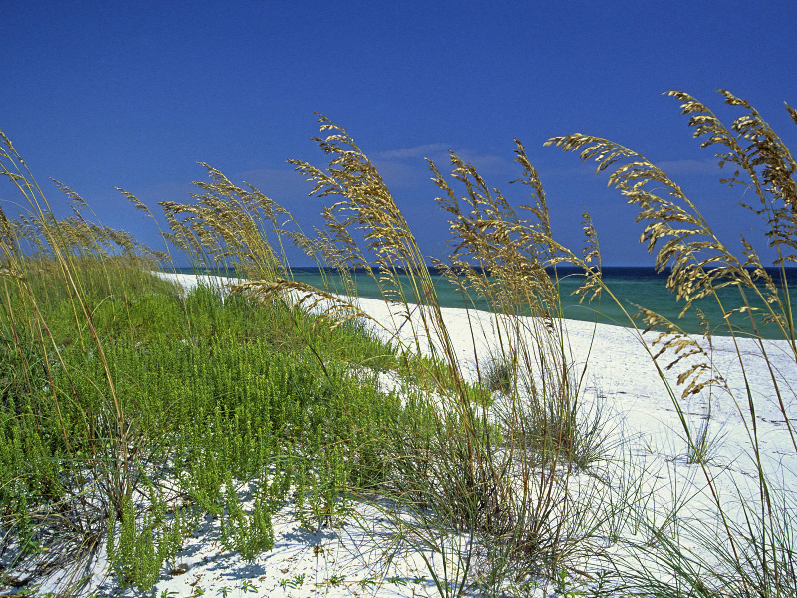 Awesome Beach free background ID:97349 for hd 1600x1200 computer