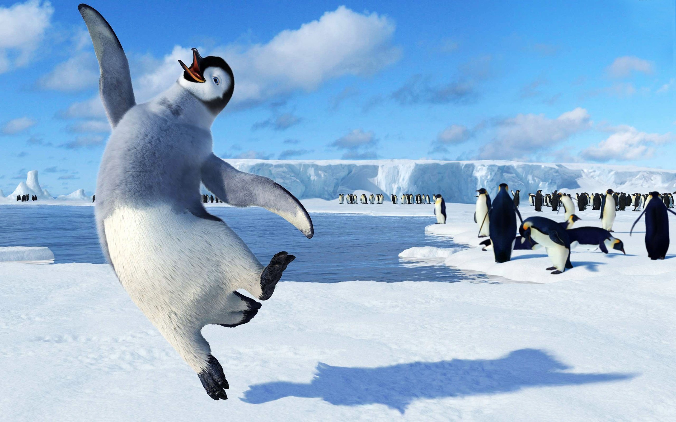 Download hd 2560x1600 Happy Feet computer background ID:146162 for free