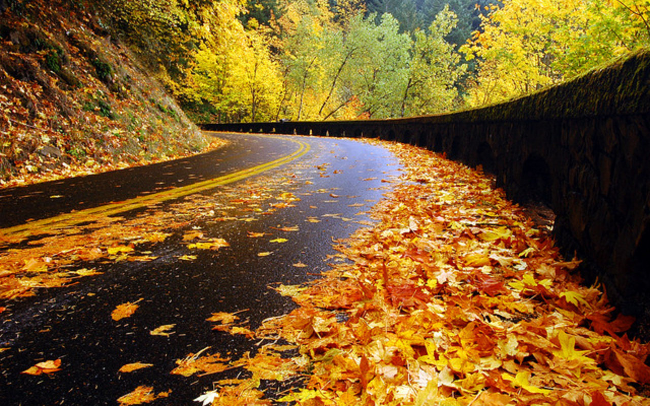 High resolution Road hd 1280x800 background ID:492455 for desktop