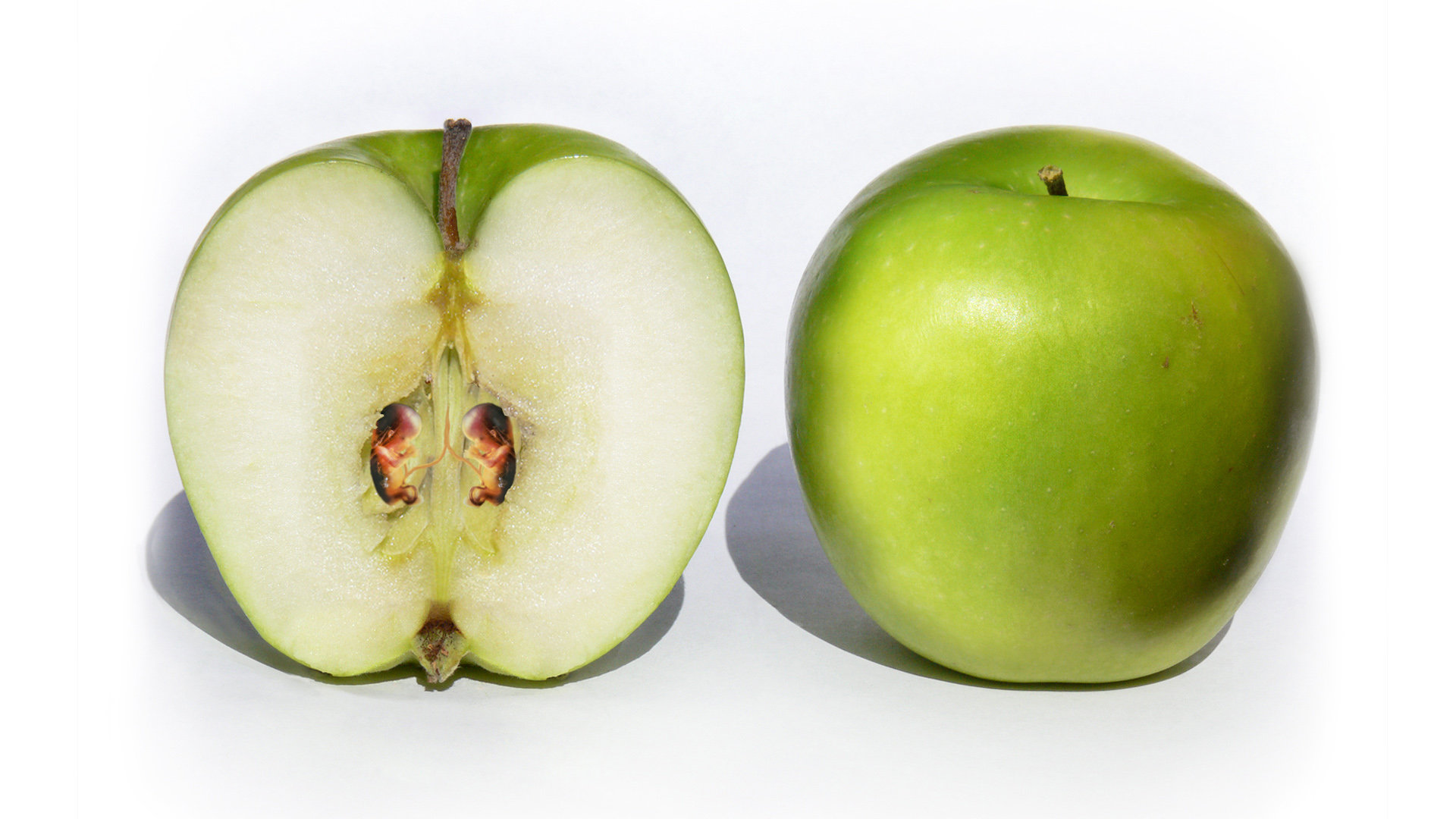 Половинка есть у яблока. Яблоко в разрезе. Половинка яблока. Сердцевина яблока. Две половинки яблока.