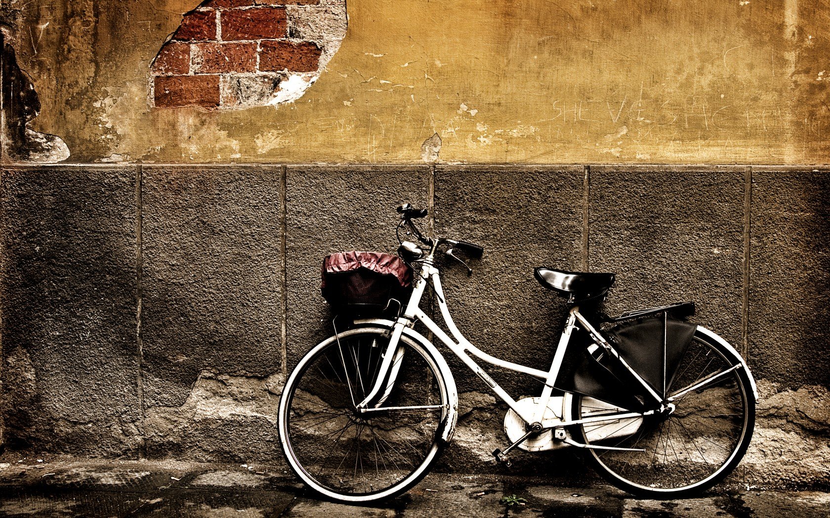 Best Bicycle wallpaper ID:135019 for High Resolution hd 1680x1050 computer