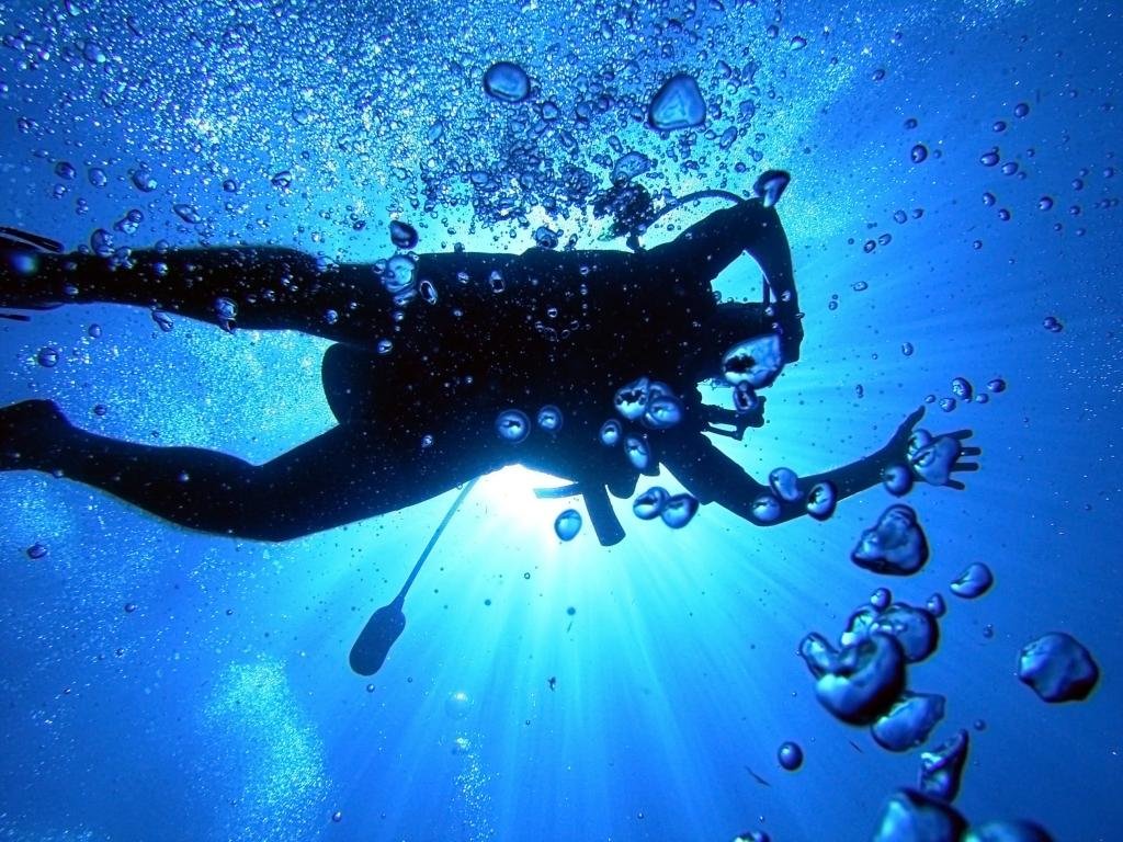 Awesome Diving free wallpaper ID:421415 for hd 1024x768 computer