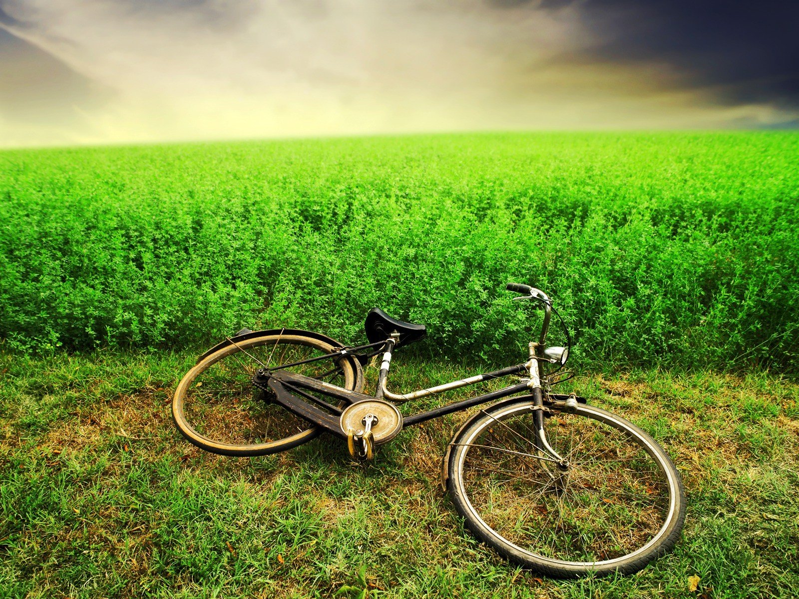 Free Bicycle high quality wallpaper ID:134970 for hd 1600x1200 computer
