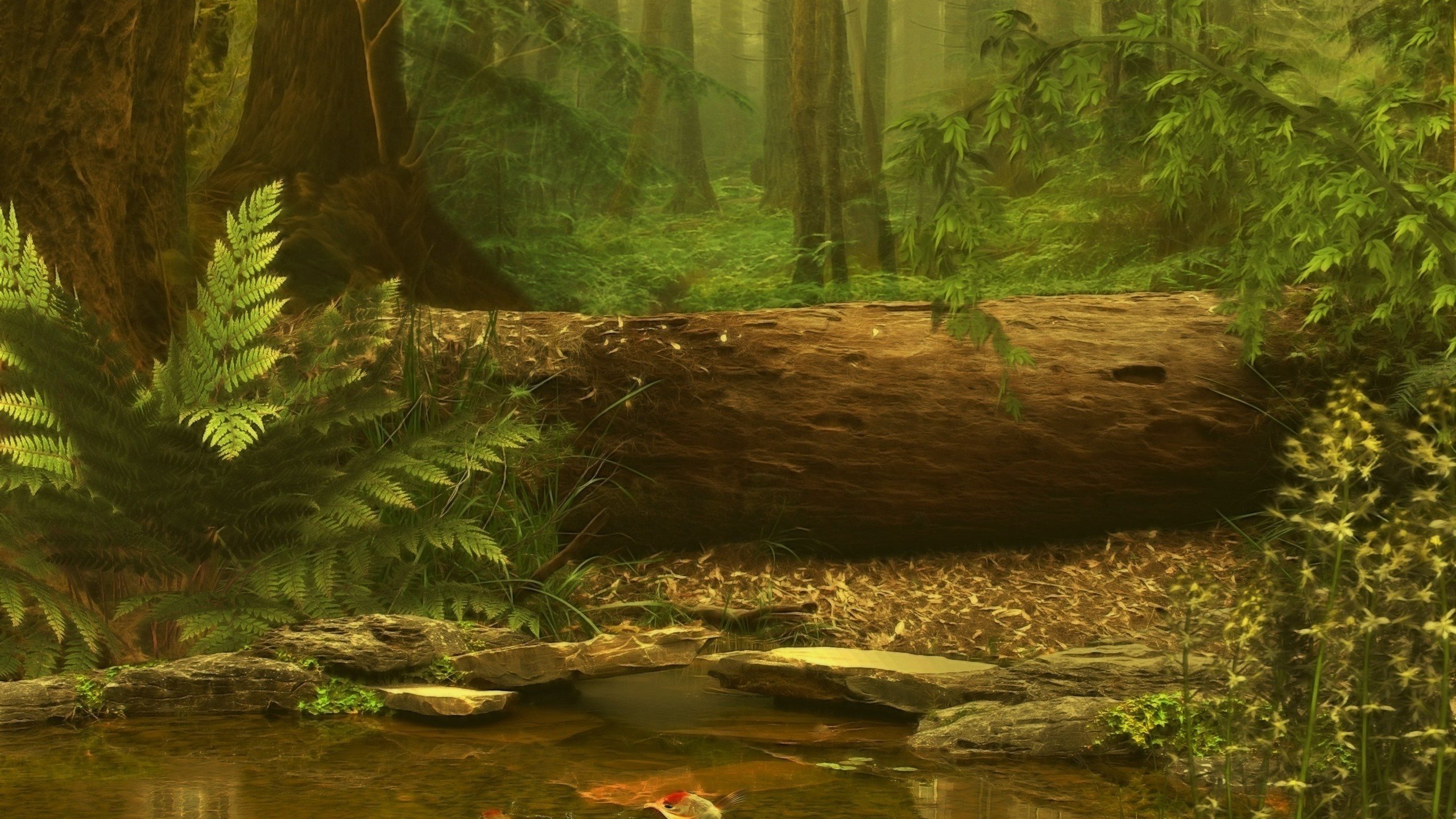 High resolution Forest hd 2560x1440 wallpaper ID:473808 for PC