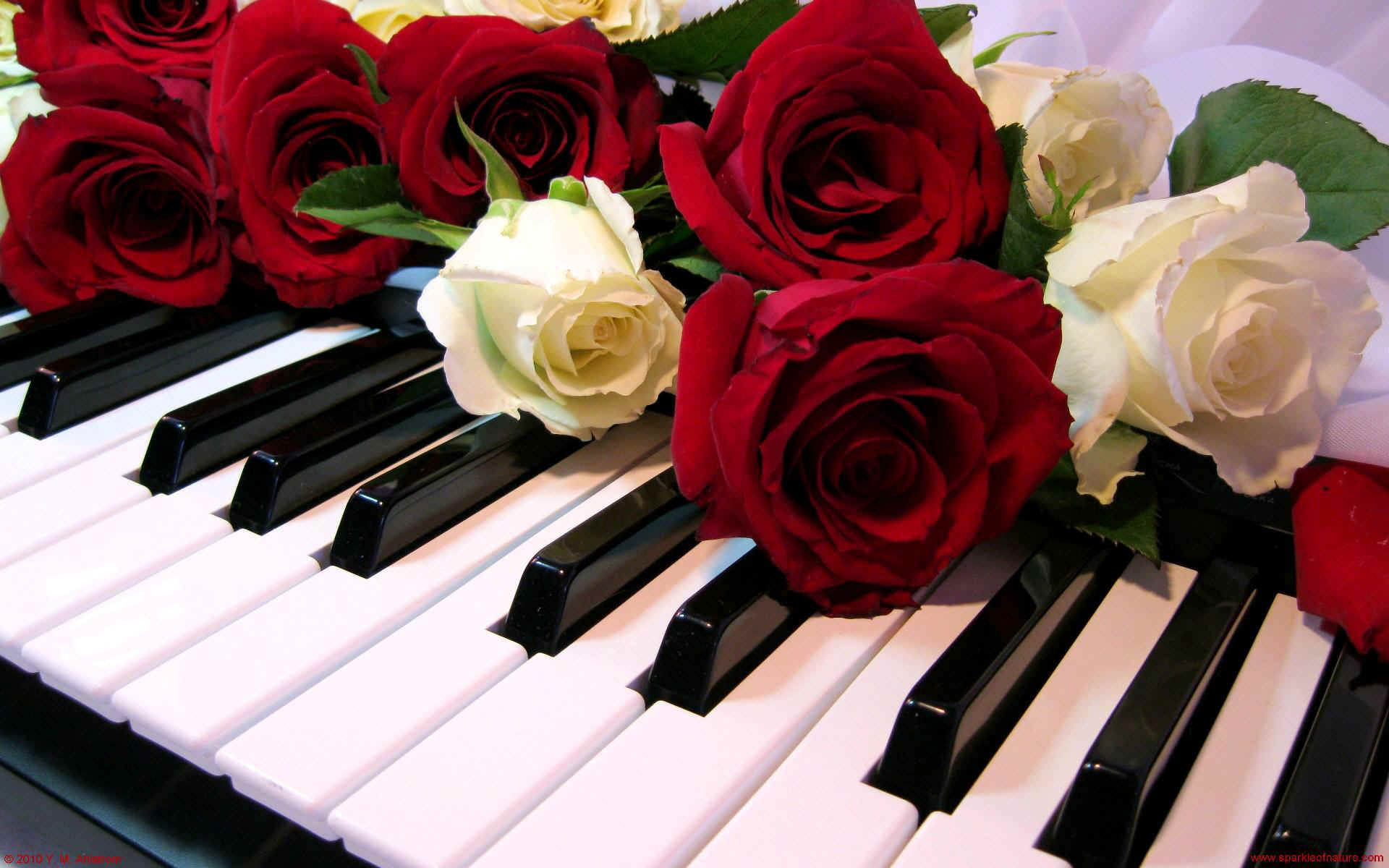 Download hd 1920x1200 Piano desktop background ID:391420 for free