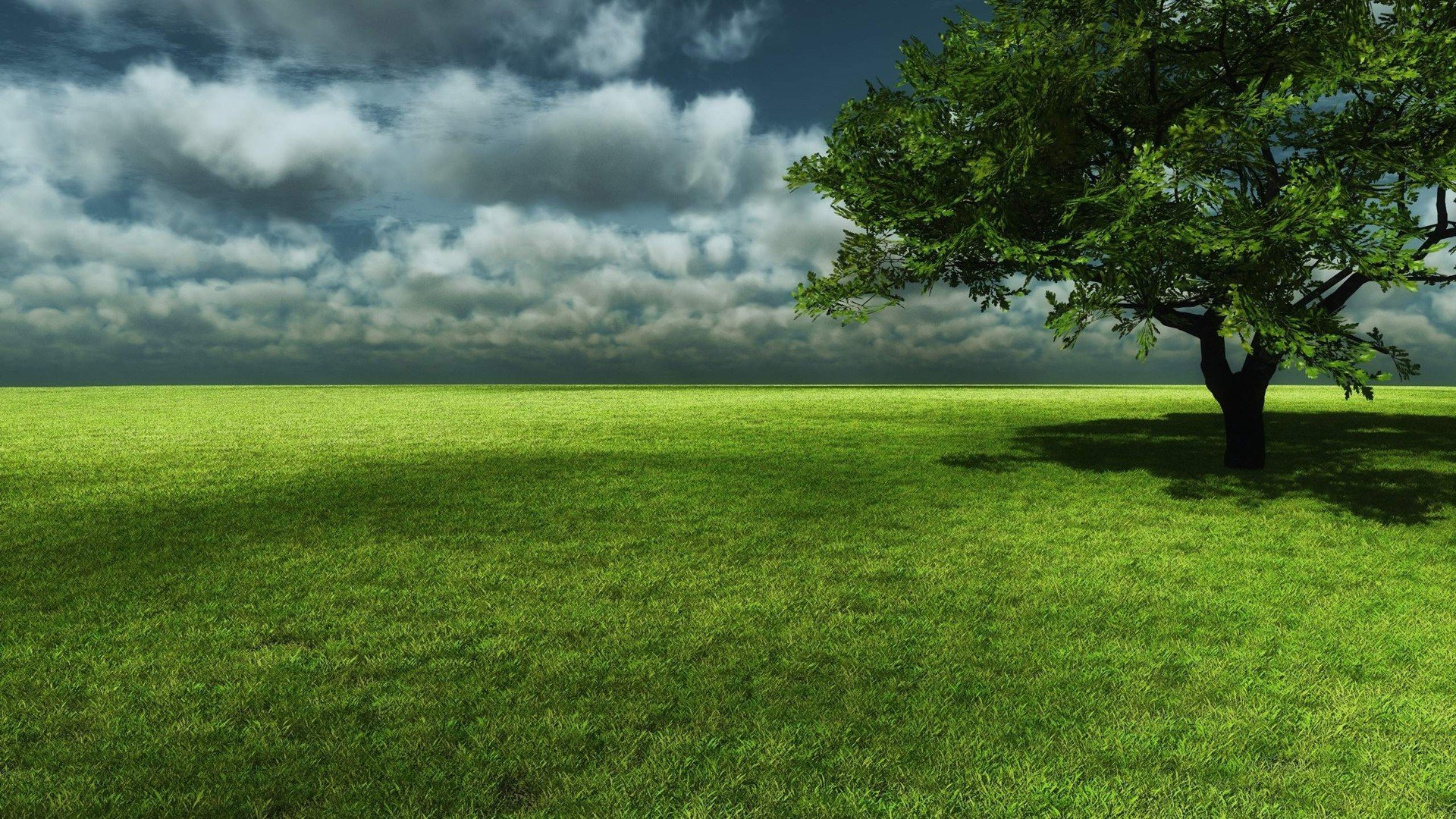 Free Tree high quality background ID:77485 for hd 1920x1080 desktop