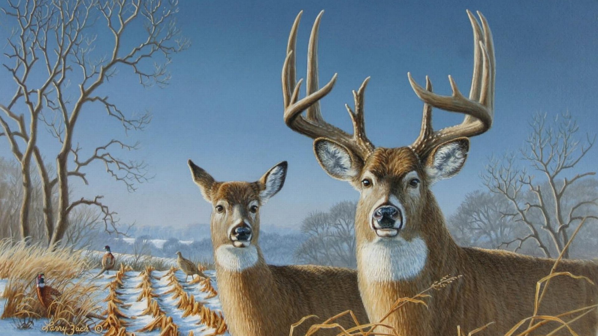 Deer wallpapers 1920x1080 Full HD (1080p) desktop backgrounds