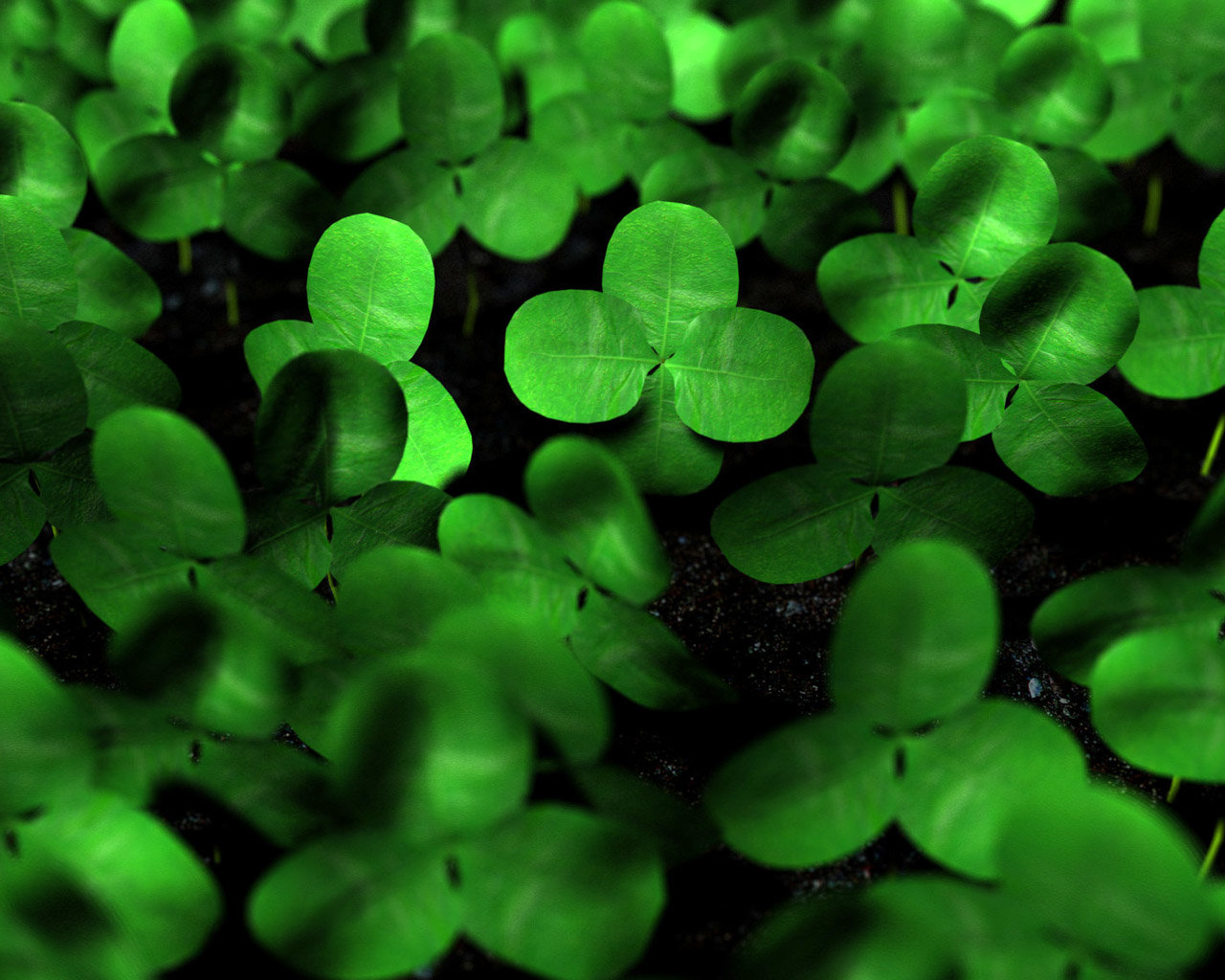 Download hd 1280x1024 Clover & shamrock PC wallpaper ID:65843 for free