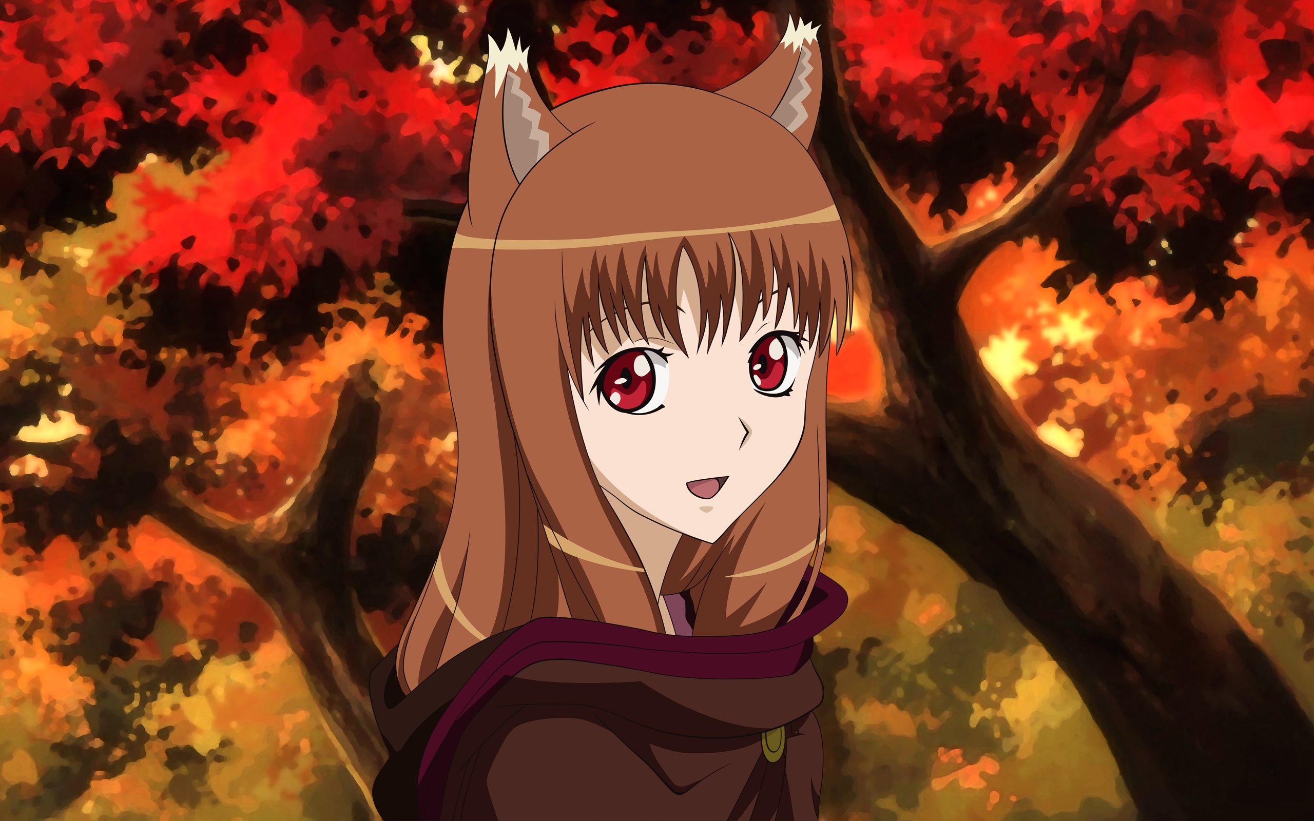 Awesome Holo (Spice & Wolf) free wallpaper ID:399773 for hd 2560x1600 computer