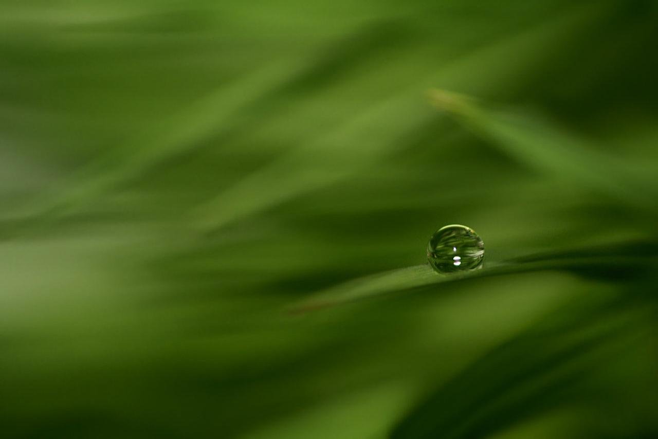 Free Water Drop high quality wallpaper ID:430365 for hd 1280x854 PC