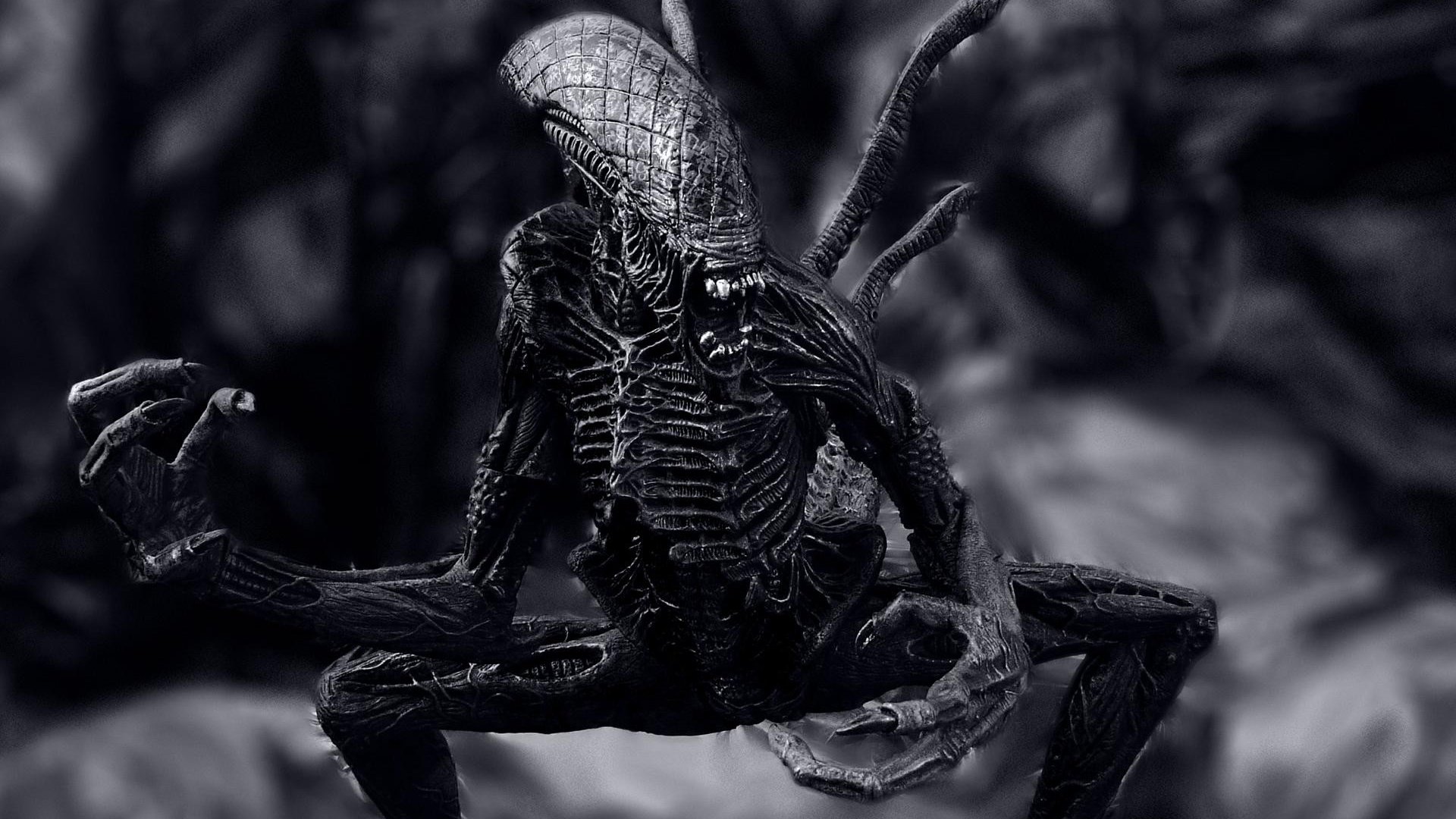 Free download Alien wallpaper ID:293454 full hd 1080p for computer