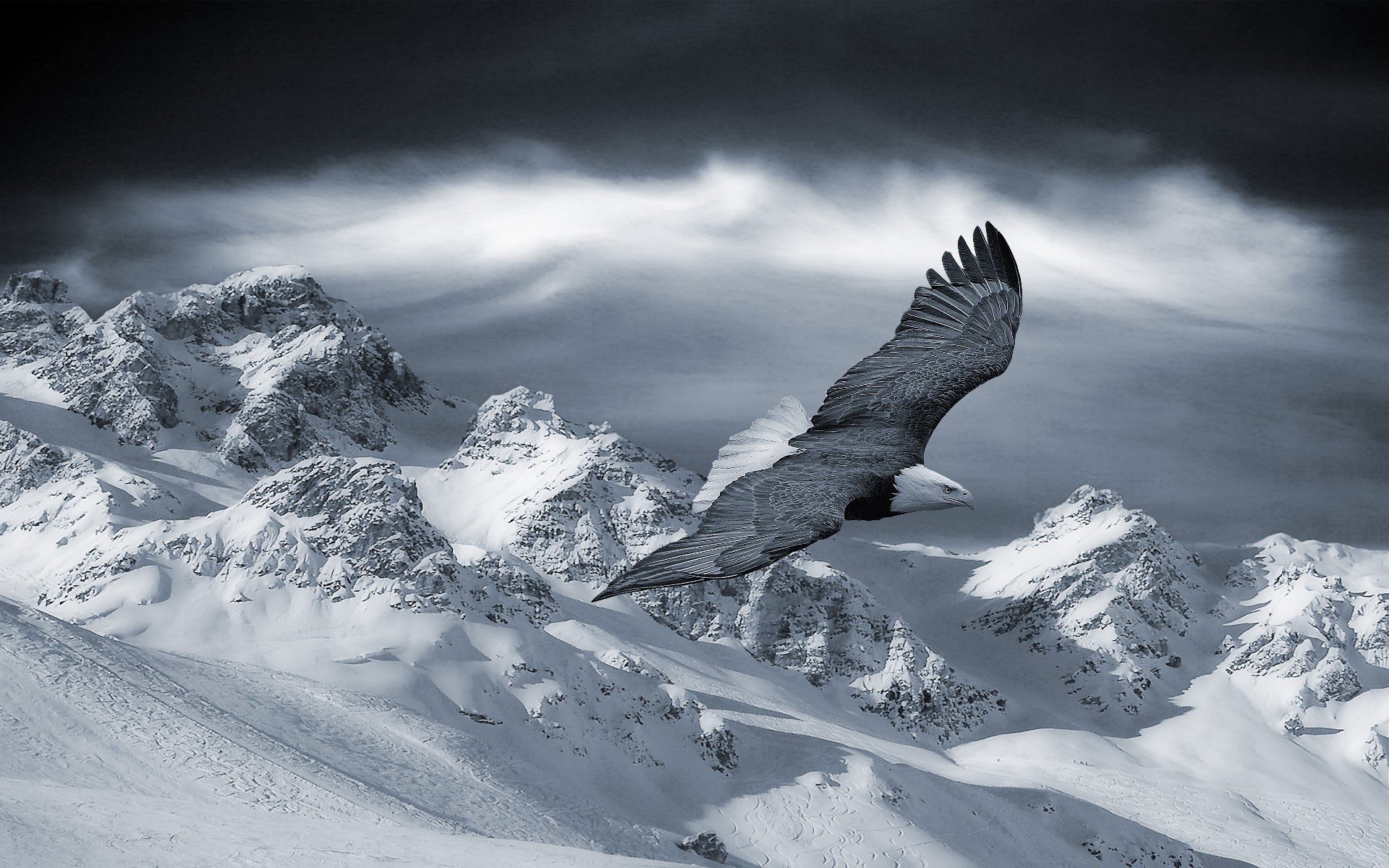 Awesome Eagle free wallpaper ID:231150 for hd 1920x1200 PC