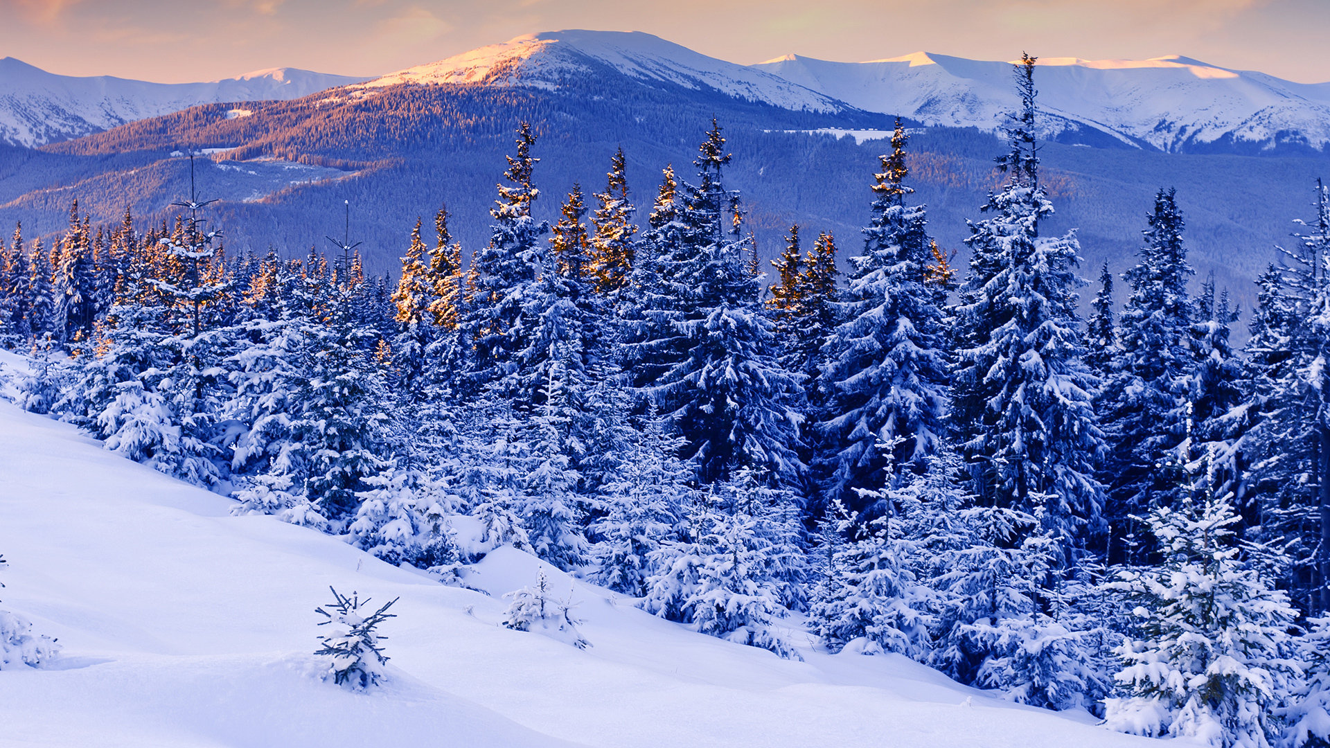 Awesome Winter free background ID:252088 for hd 1920x1080 computer