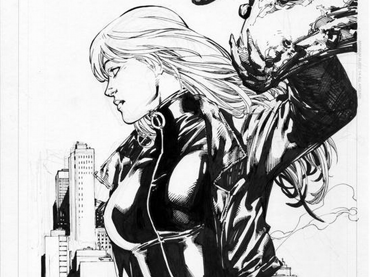 Download hd 1280x960 Black Canary PC wallpaper ID:365853 for free