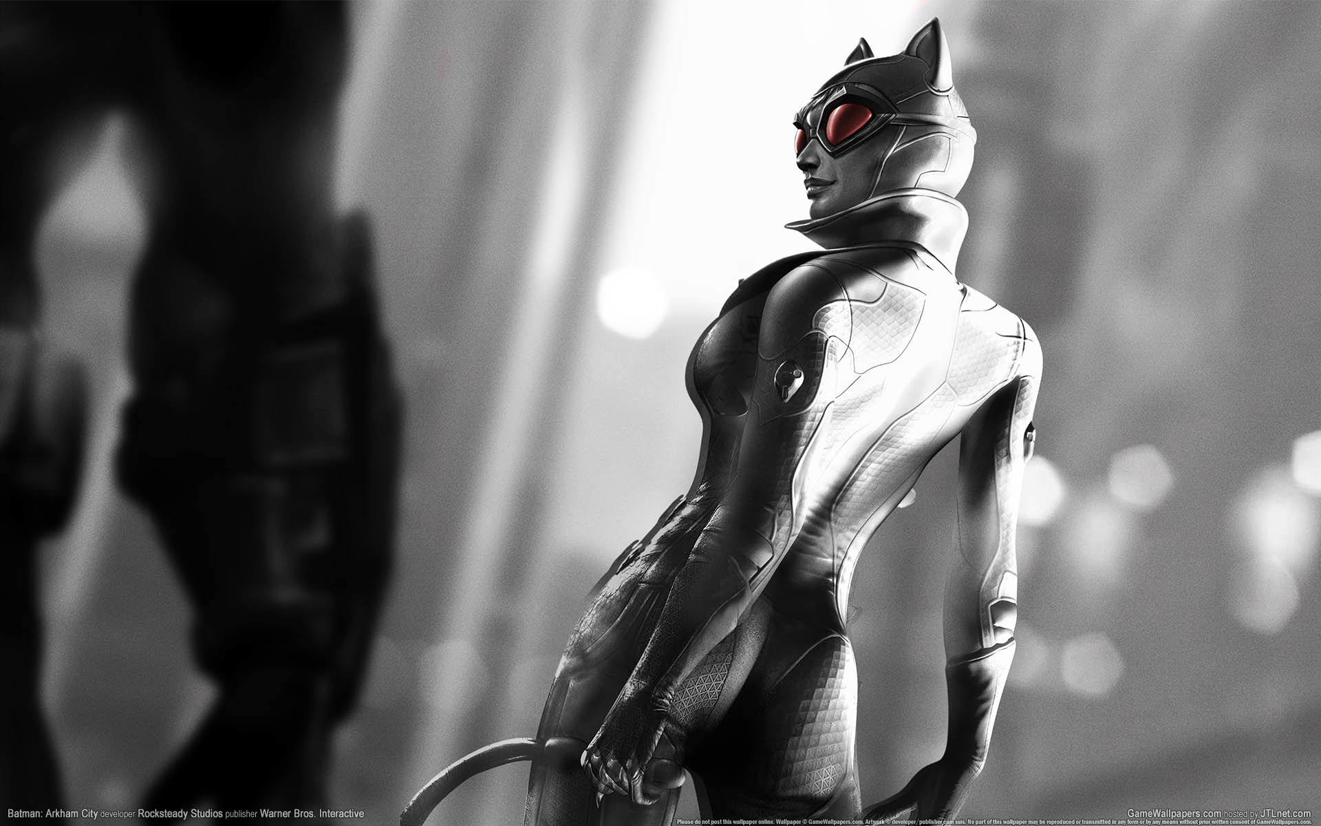Best Catwoman background ID:81370 for High Resolution hd 1920x1200 PC
