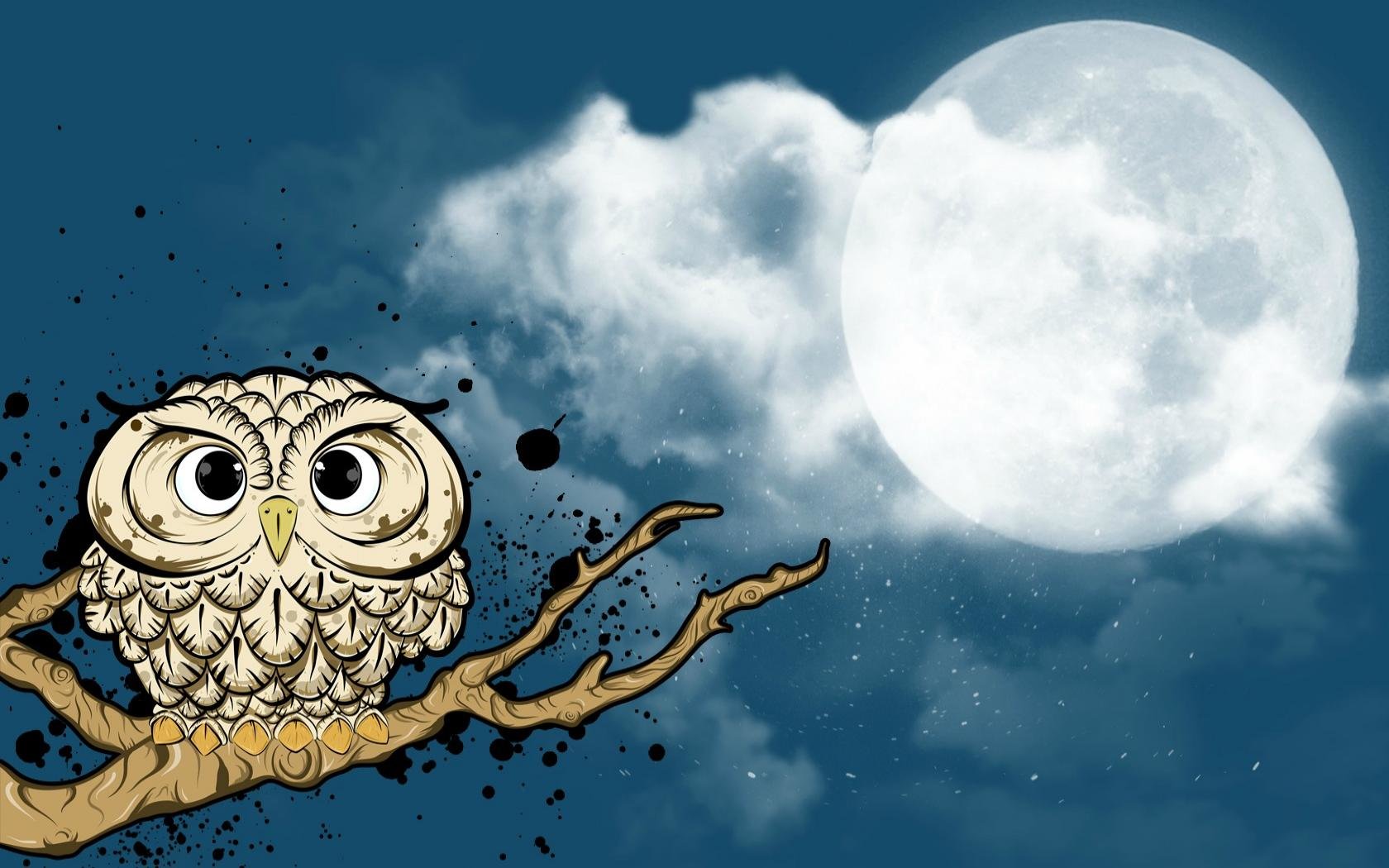 Best Owl background ID:237307 for High Resolution hd 1680x1050 computer