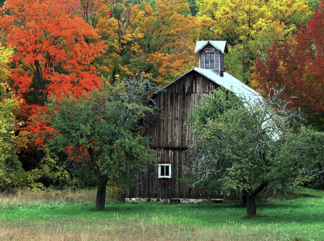 High resolution Barn hd 1120x832 background ID:494778 for PC