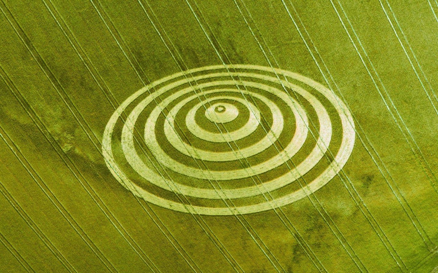 Awesome Crop Circles free wallpaper ID:495034 for hd 1440x900 computer