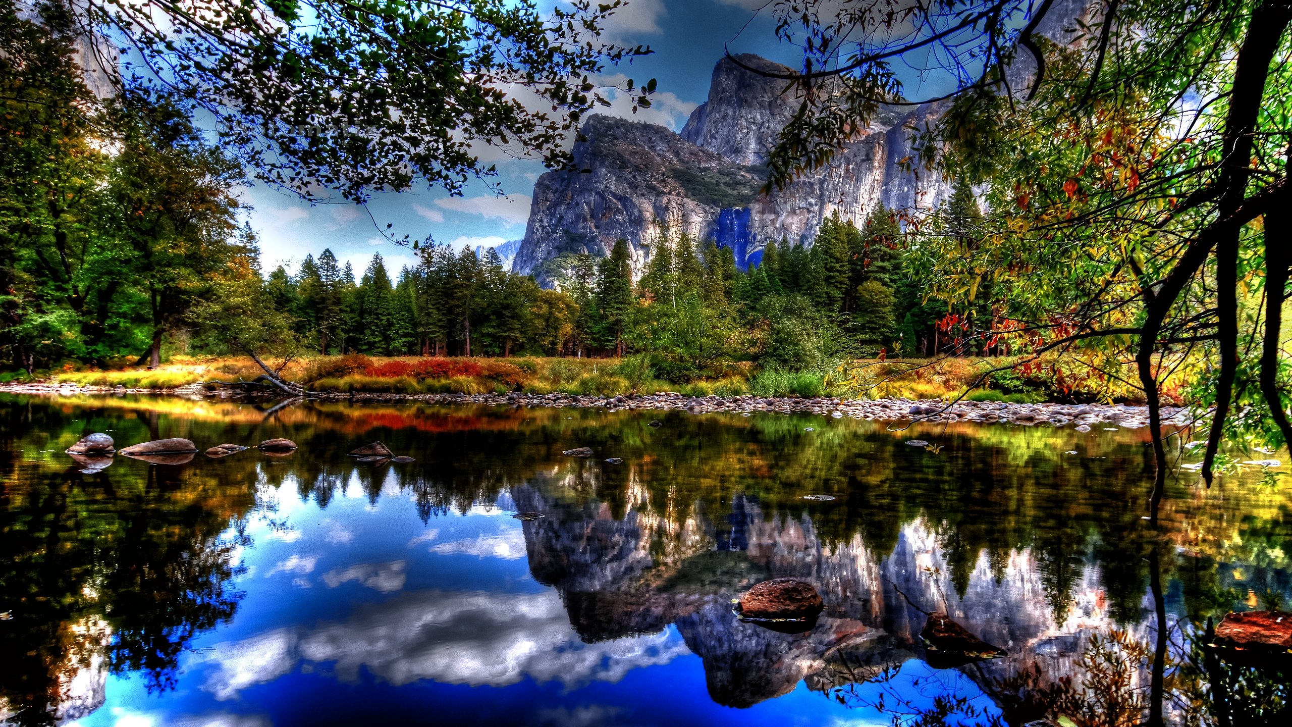 High resolution Reflection hd 2560x1440 wallpaper ID:217448 for PC