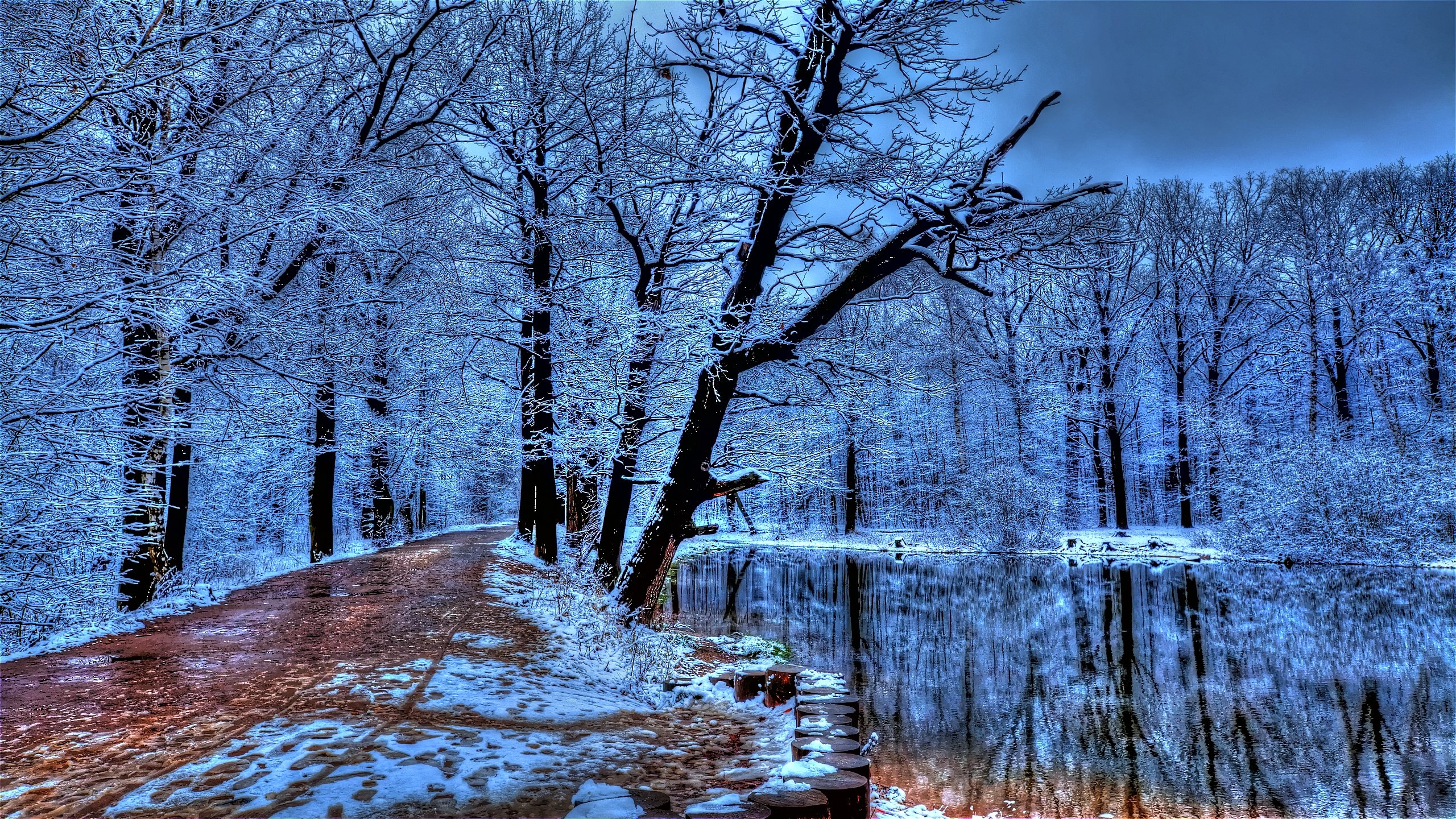 Free download Winter background ID:252077 hd 2560x1440 for desktop
