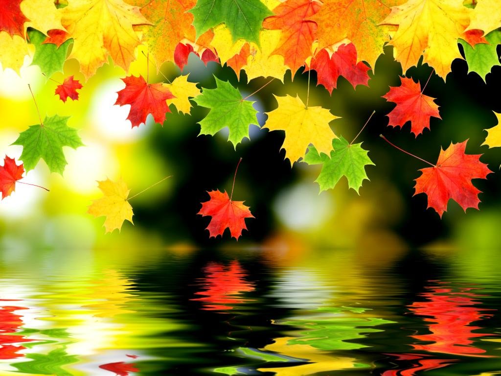 Best Fall wallpaper ID:20737 for High Resolution hd 1024x768 PC