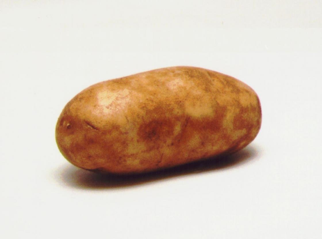 Awesome Potato free background ID:315033 for hd 1120x832 PC