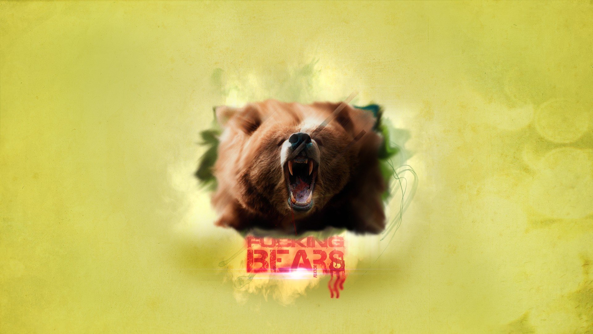 Free Bear high quality background ID:352541 for full hd 1080p PC