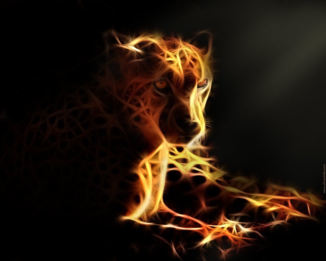 Awesome Cheetah free background ID:161843 for hd 1280x1024 desktop