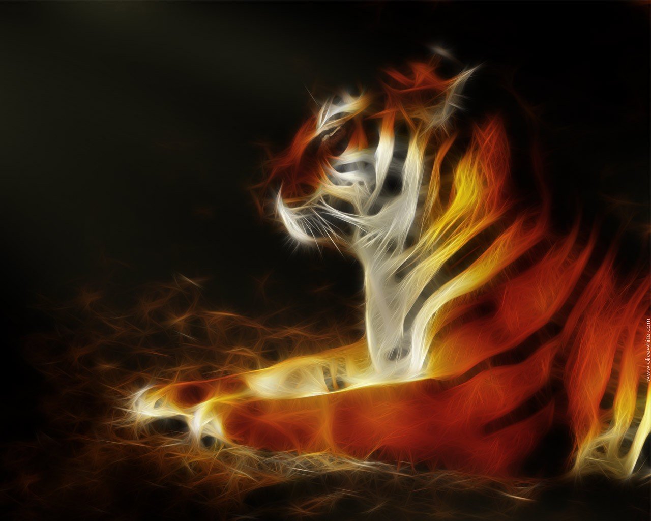 Download hd 1280x1024 Tiger computer background ID:116693 for free