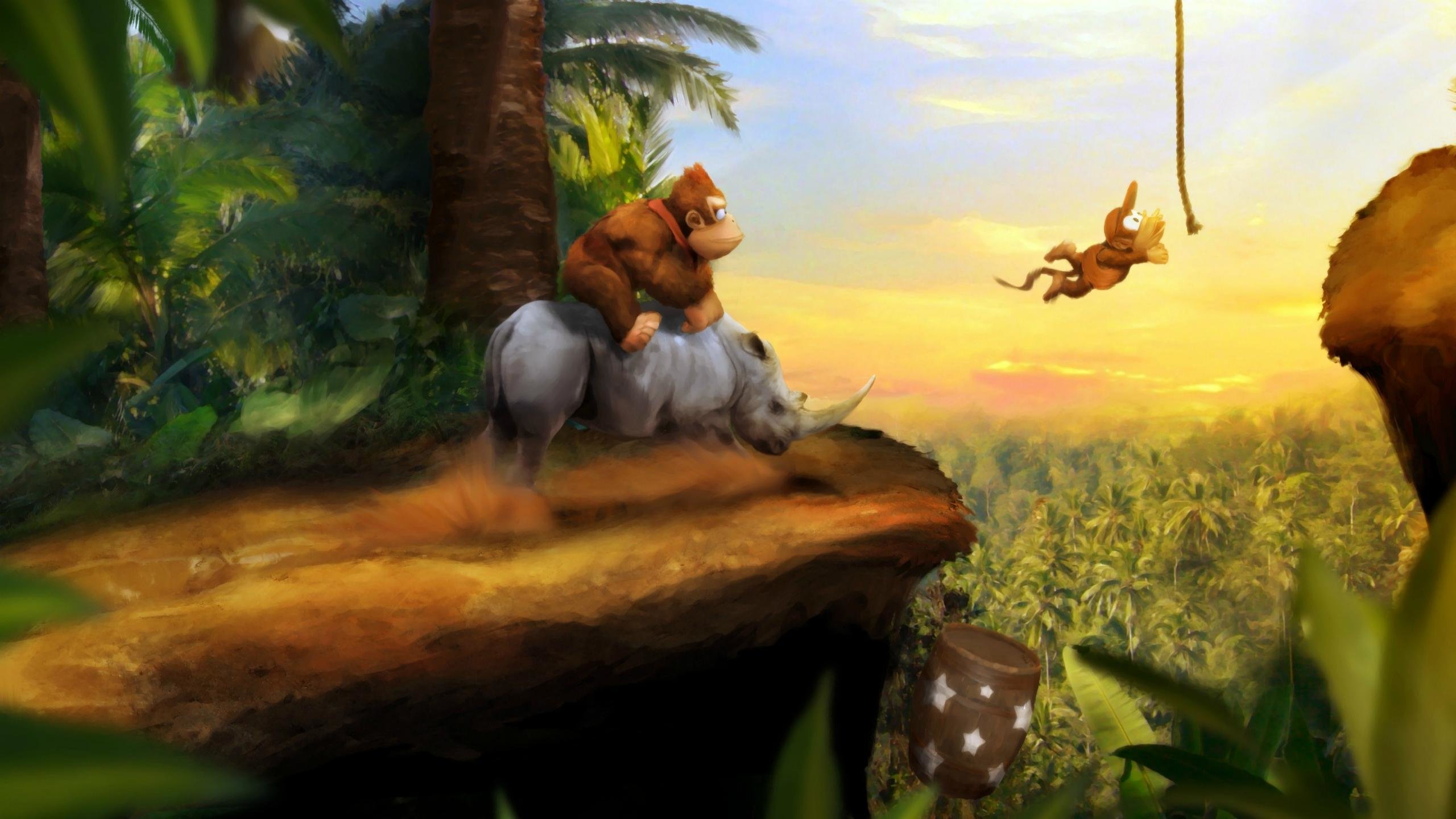 Best Diddy Kong background ID:319518 for High Resolution hd 2560x1440 desktop