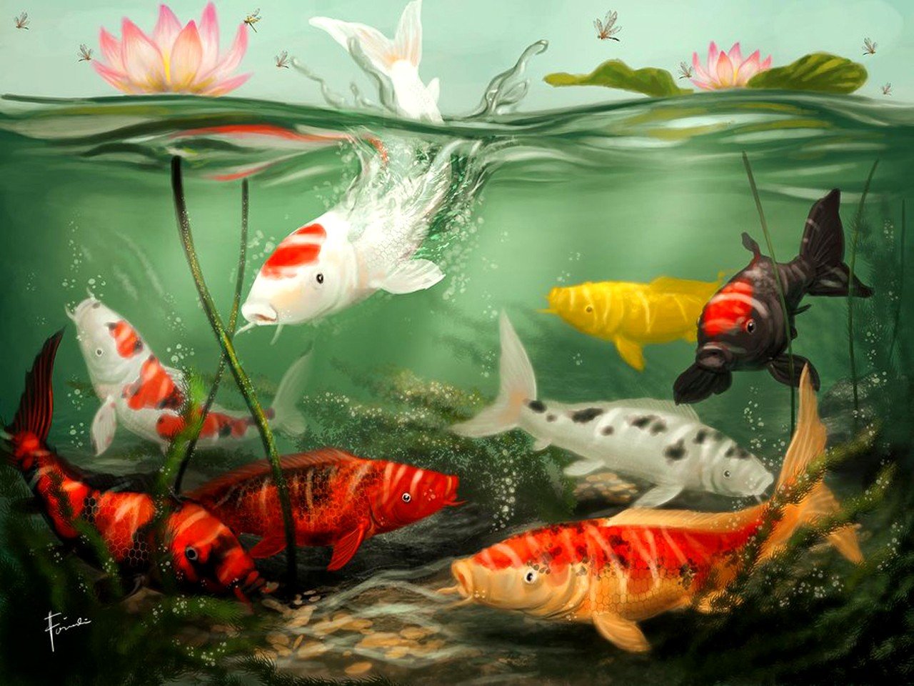 Best Fish wallpaper ID:66463 for High Resolution hd 1280x960 computer