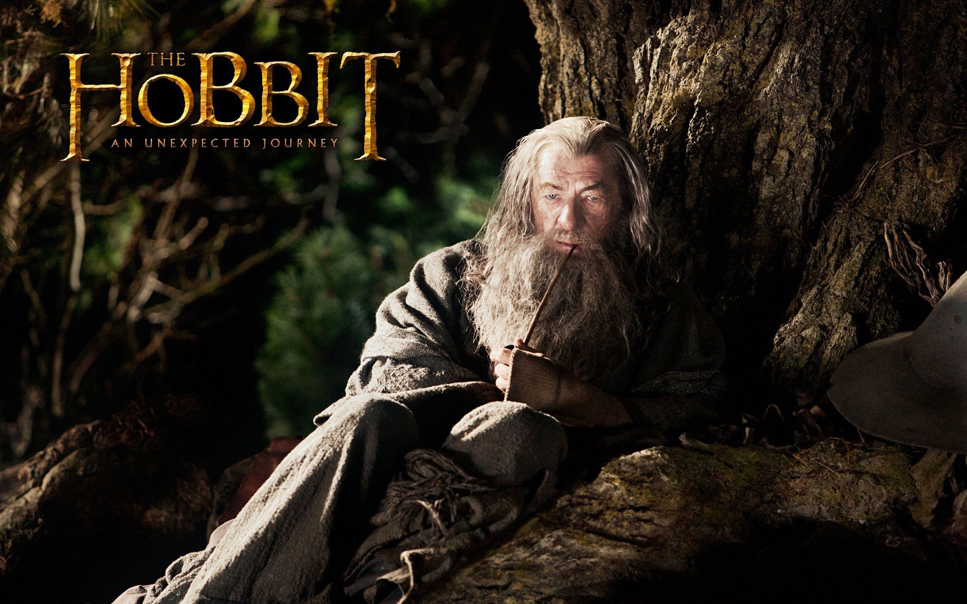 High resolution The Hobbit: An Unexpected Journey hd 1920x1200 wallpaper ID:463989 for PC