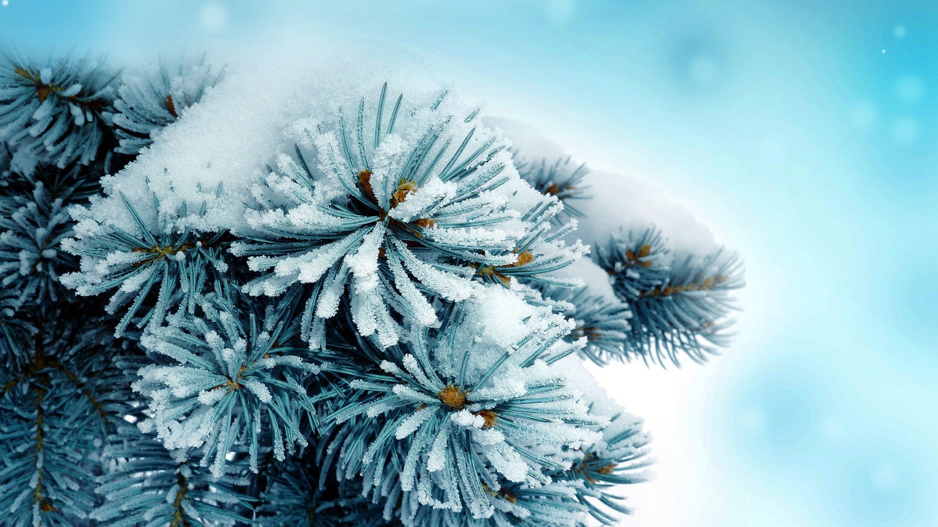 High resolution Winter hd 1080p wallpaper ID:252068 for computer