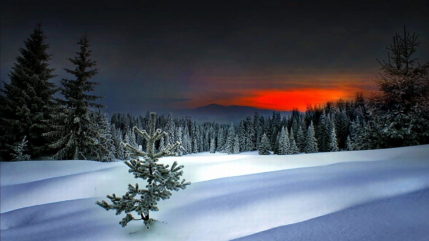 Best Winter background ID:251244 for High Resolution hd 1366x768 computer