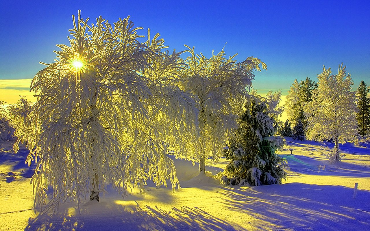Free download Winter wallpaper ID:252064 hd 1280x800 for PC