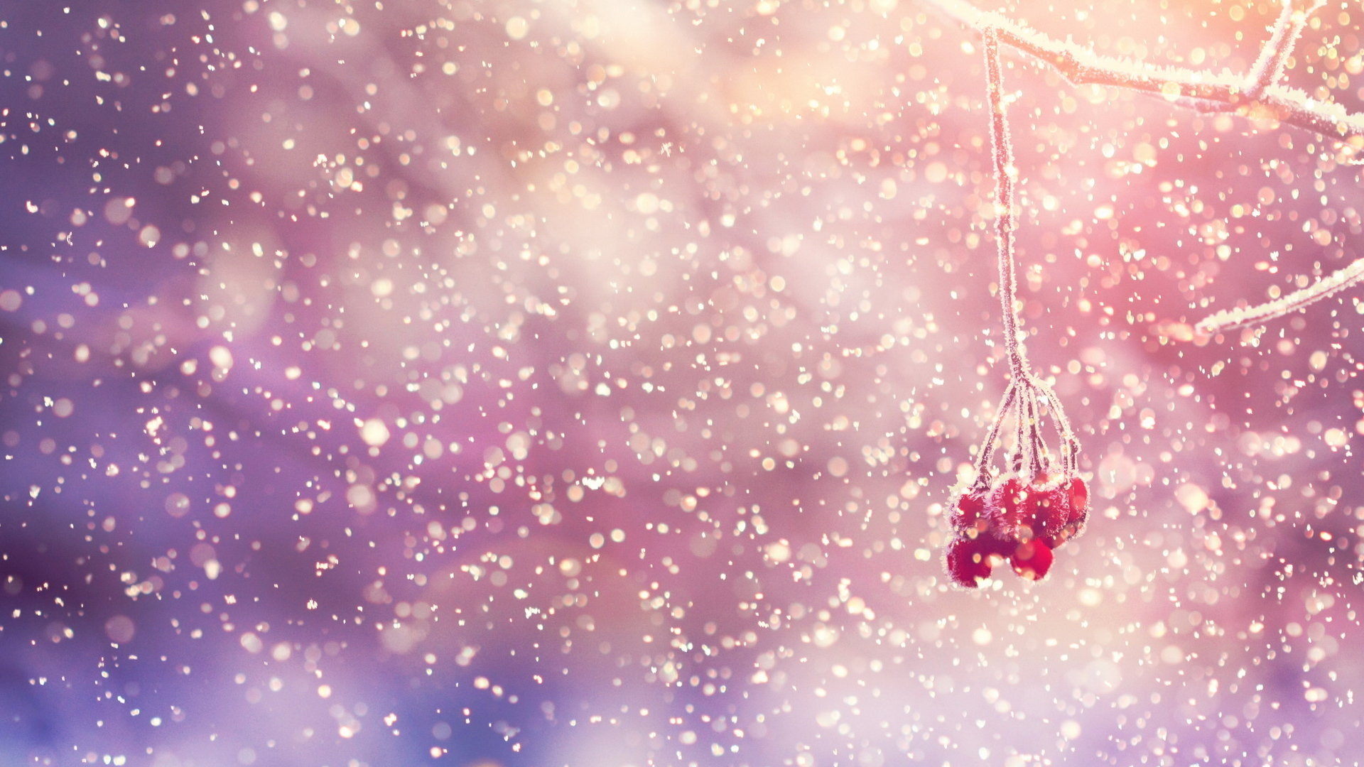 High resolution Winter full hd 1920x1080 background ID:252062 for PC